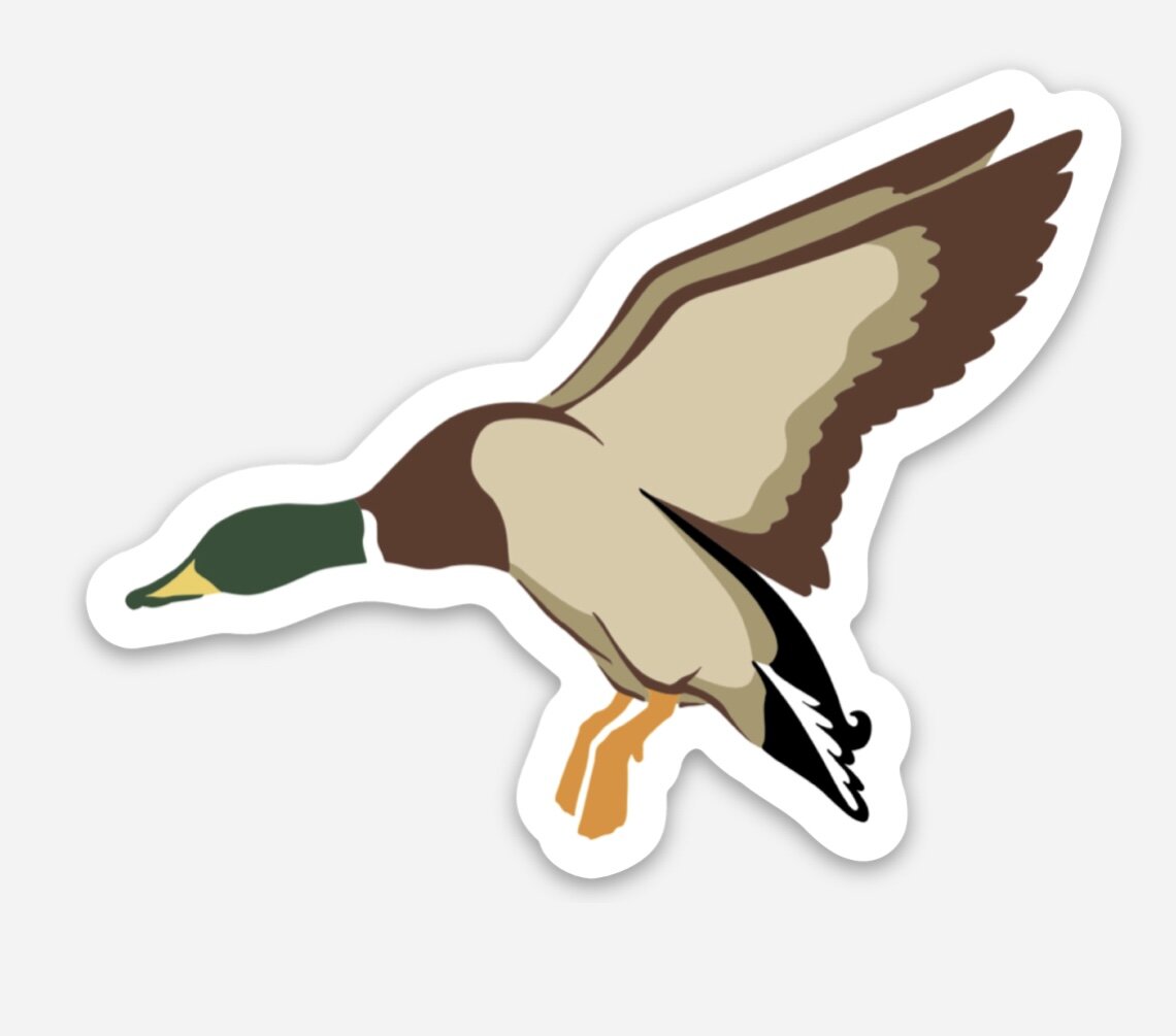 Single Duck Sticker- Color